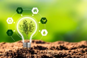 Por que empresas estão migrando para a energia verde por assinatura da Prospera?